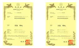 Wafer検査装置 特許取得済み